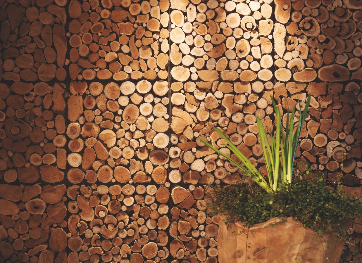 Eco & Wellness Boutique Hotel Sonne リヴィーニョ エクステリア 写真